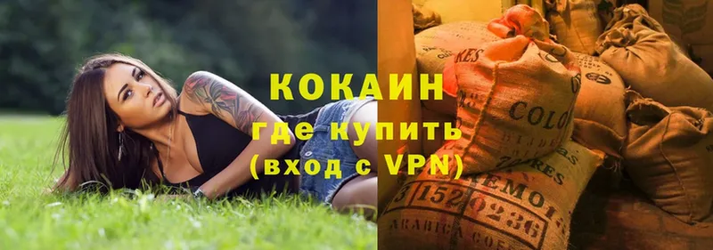 Cocaine Эквадор  нарко площадка как зайти  Скопин 